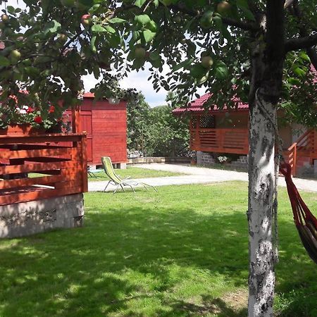 Casa Anamaria Villa Turda Exterior photo